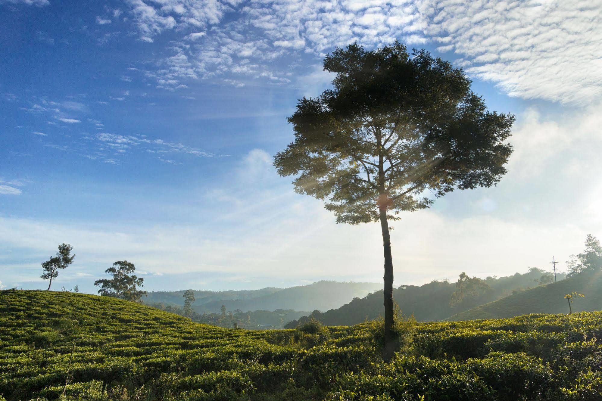 Kent Cottage Nuwara Eliya Bagian luar foto
